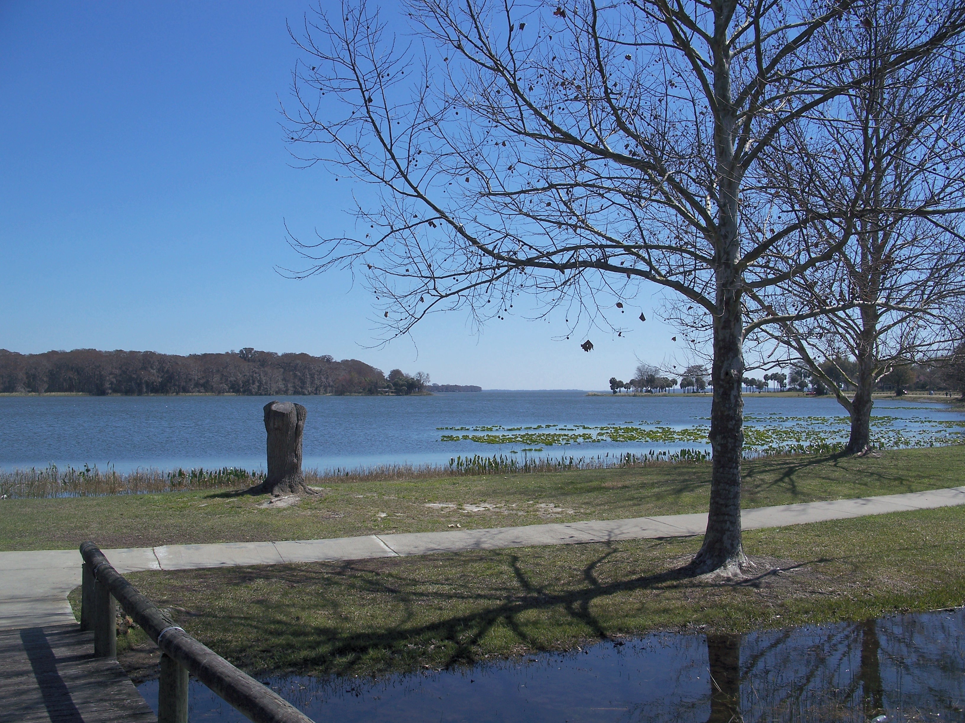 Venetian Gardens on Lake Harris, Leesburg